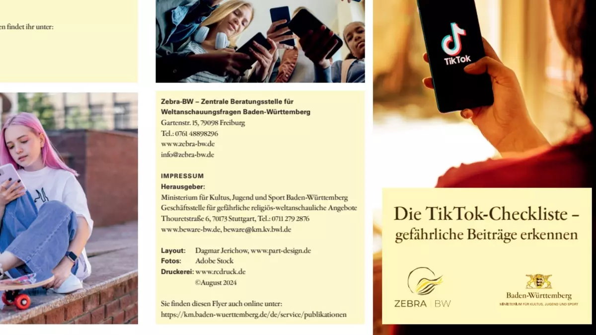 Screenshot Flyer "Die TikTok-Checkliste".