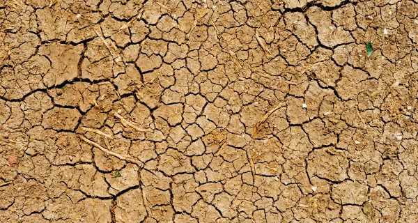 Aufgrund von Dürren und Wüstenbildung müssen viele Menschen weltweit ihre Heimat verlassen. Foto: Dan Gold, unsplash.com, H0Jp8pX-0zw