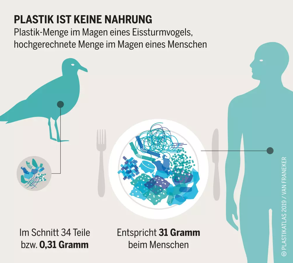 Plastikmenge im Magen eines Eissturmvogels. Grafik: Plastikatlas | Appenzeller/Hecher/Sack | CC BY 4.0