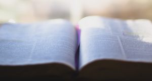 Symbolbild Wörterbuch. Bild: Photo by Carolyn V on Unsplash.