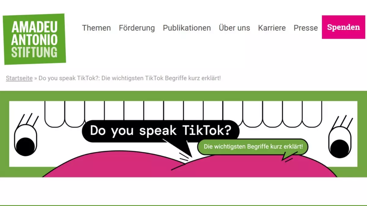 Screenshot Internetseite "Amadeu Antonio Stiftung: Do you speak TikTok? Die wichtigsten TikTok-Begriffe kurz erklärt!"