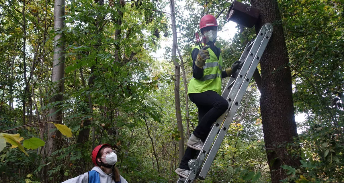 Gemeinsam mit dem Naturschutzbund kontrolliert Michèle die Nistkästen für Vögel im Stuttgarter Stadtteil Fasanenhof.