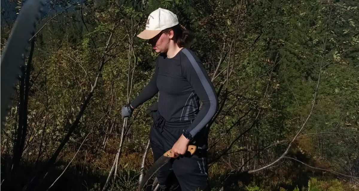 Am Feldberg im Südschwarzwald pflegen die FÖJler:innen die Biotope und halten die Weideflächen für den Zitronenzeisig frei, eine streng geschützte Vogelart.