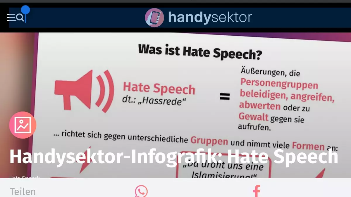 Screenshot "Handysektor: Infografik: Hate Speech"