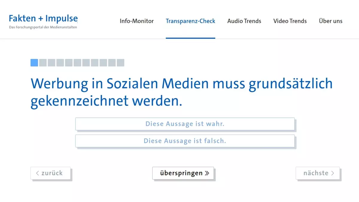 Screenshot Internetseite Fakten+Impulse.