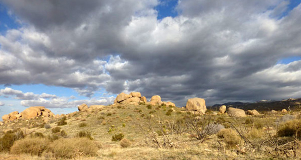Wüste Arizona. Foto: LpB