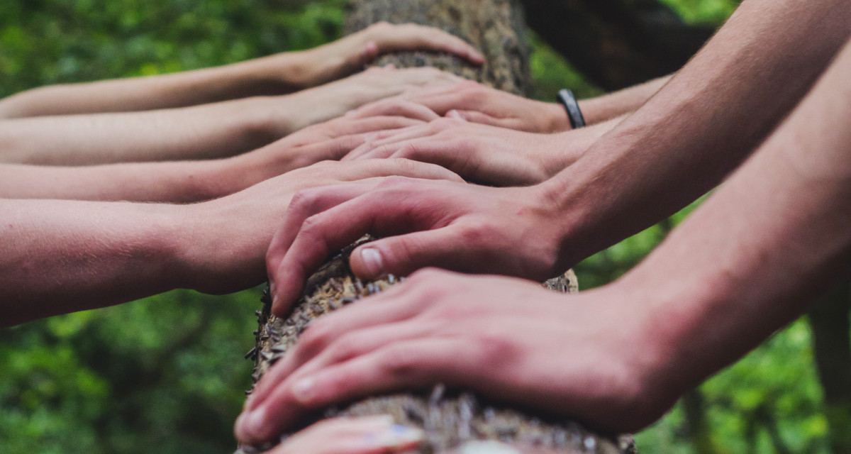 Mehrere Hände sind auf einen Baumstamm gelegt. Foto: unsplash | Shane Rounce