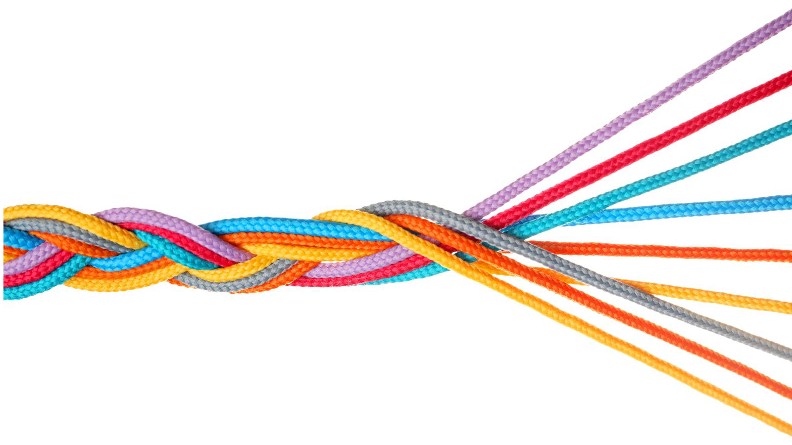 Bunte geflochtene Seile. Foto: Adobe Stock | New Africa / Quelle: Copyright Bunte geflochtene Seile. Foto: Adobe Stock | New Africa